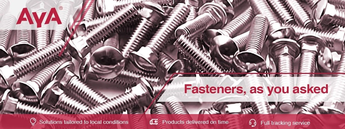 Stainless Steel Carriage Bolts--AYA