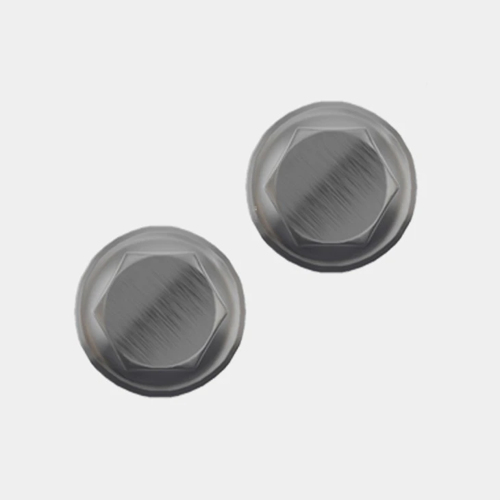 Stainless Steel Flange Head Bolts